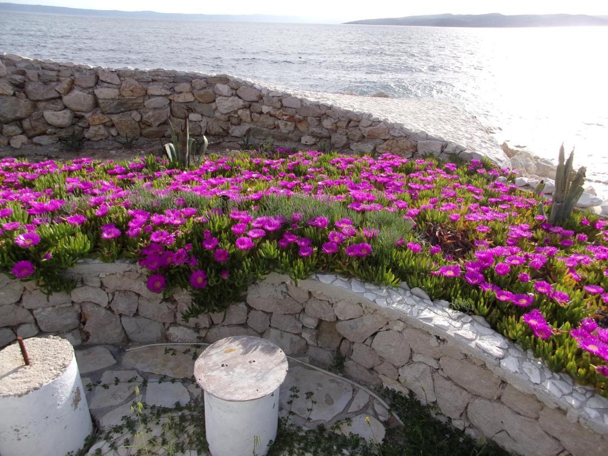 Pura Vida Makarska Apartment Екстериор снимка